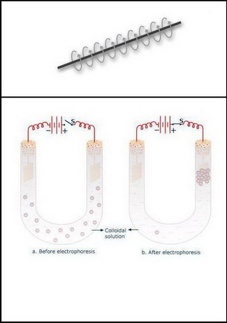 Electical Current Reactions